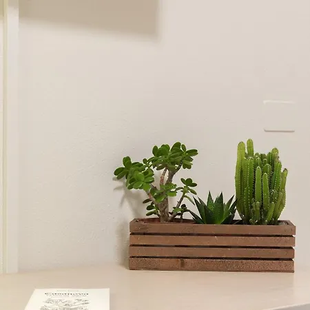 Casanova Ai Tolentini Szálloda