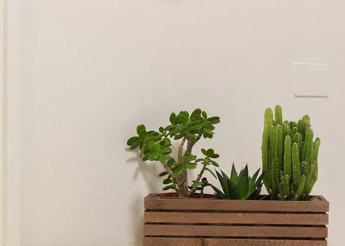 B And B Casanova Ai Tolentini Hotel